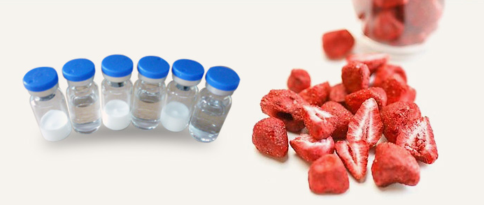 Fruit freeze dryer: strawberry crisp production method
